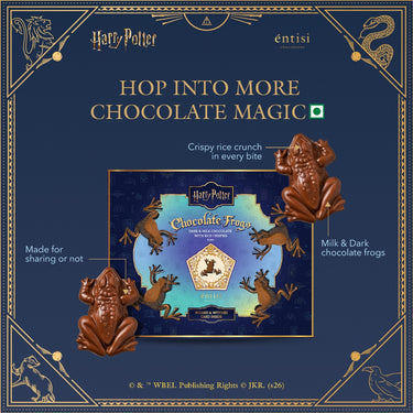 Harry Potter Chocolate Frog Assorted Box - 4pcs (pack of 3)