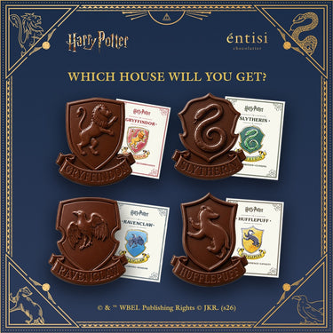 Harry Potter Chocolate House (pack of 4)