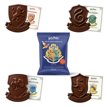 Harry Potter Chocolate House
