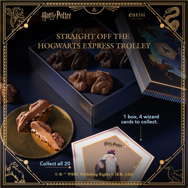 Harry potter assorted chocolates