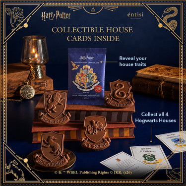 Harry Potter Chocolate House (pack of 4)