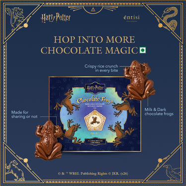 Harry Potter Chocolate Frog Assorted Box - 4pcs