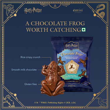 Harry Potter Chocolate Frog